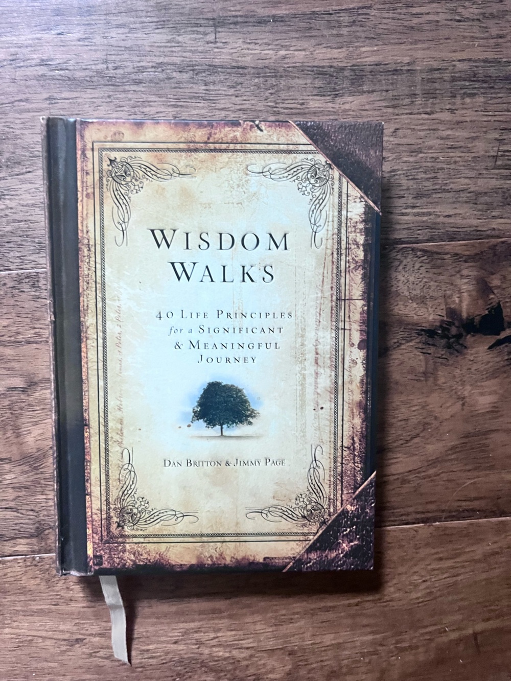 Wisdom Walks by Dan Britton and Jimmy Page